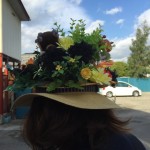 IMG_9292 (480x640) (2)