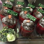 IMG_9583 (640x640) (2)